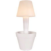 Pure Twilight - D.50 A.114 cm - Elho